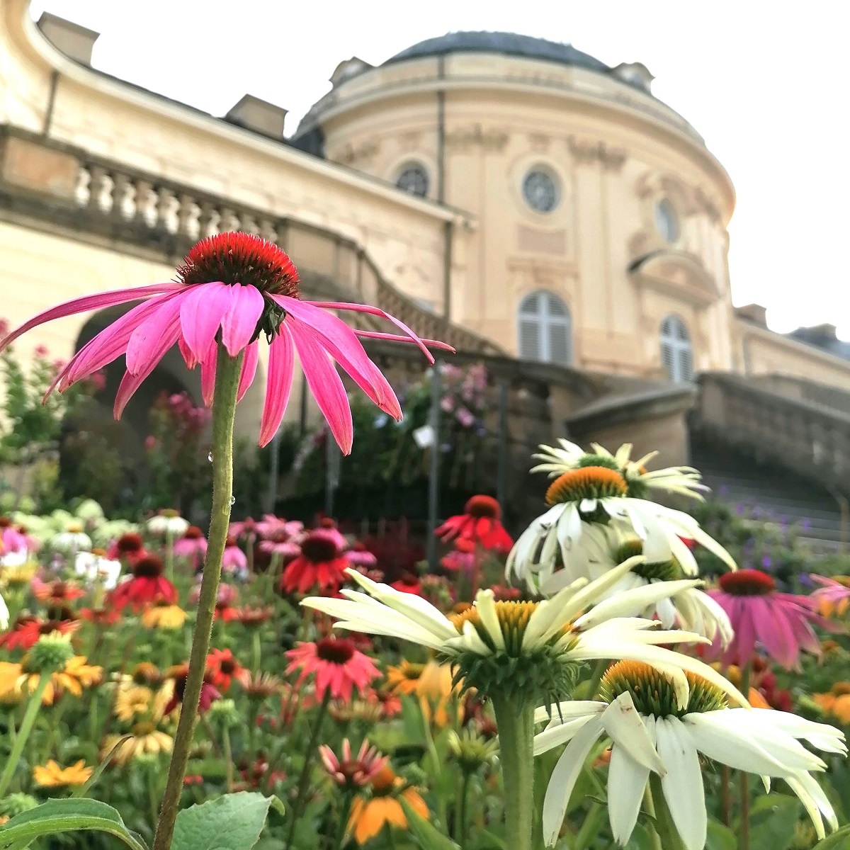 Home & Garden WAC Stuttgart