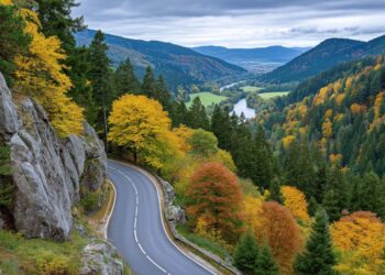 Bosch WAC Herbstausfahrt