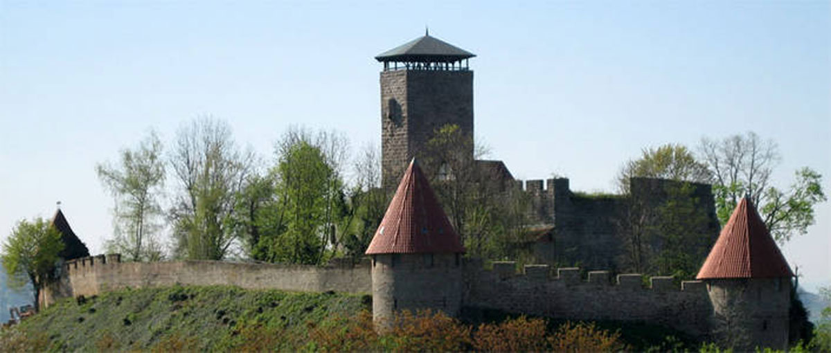 © Burgfalknerei Hohenbeilstein